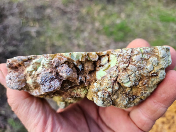 Polished Lime Magnesite specimen. MAP218