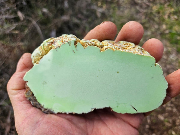Polished Lime Magnesite specimen. MAP218