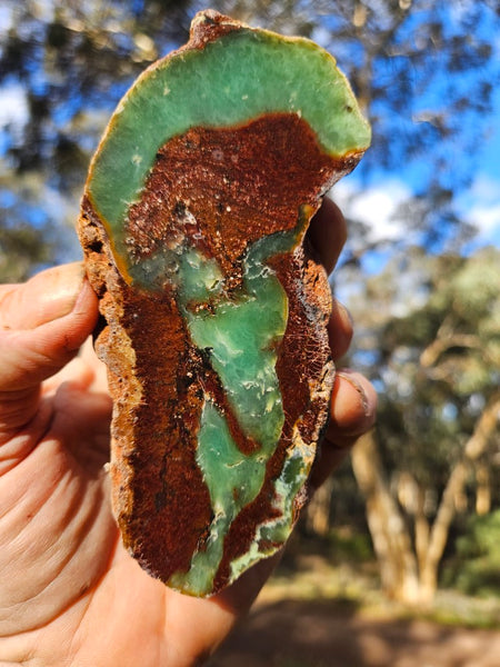 Polished  Chrysoprase  CH484