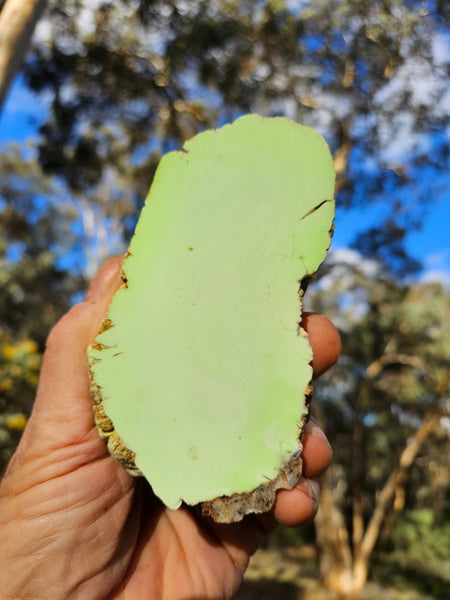 Polished Lime Magnesite specimen. MAP218