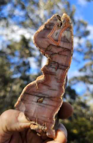 Polished Pilbara Agate PA228