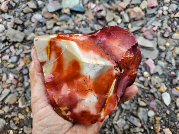 Mookaite rough.  MKR 283