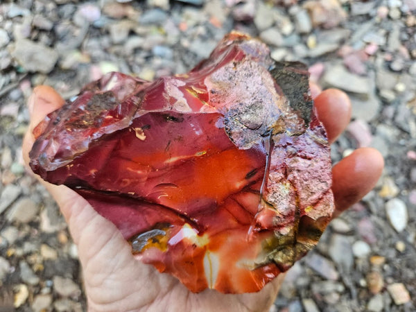 Mookaite rough.  MKR 283