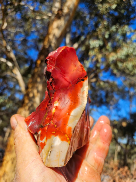 Mookaite rough.  MKR 283