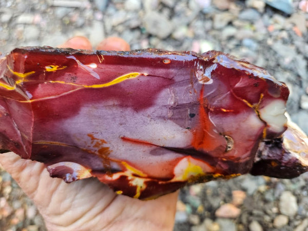 Mookaite rough.  MKR 284