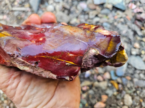 Mookaite rough.  MKR 284