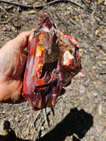 Mookaite rough.  MKR 284