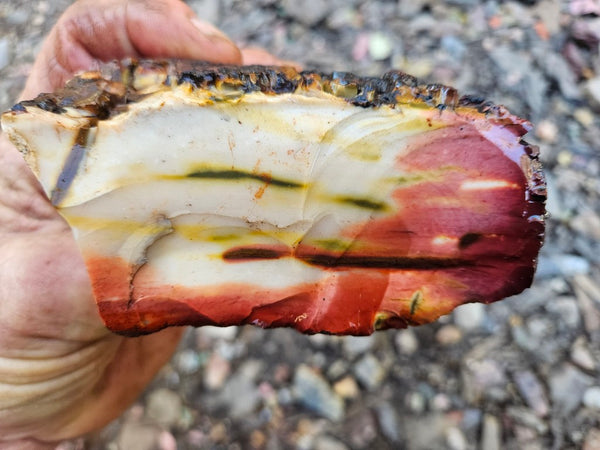 Mookaite rough.  MKR 285