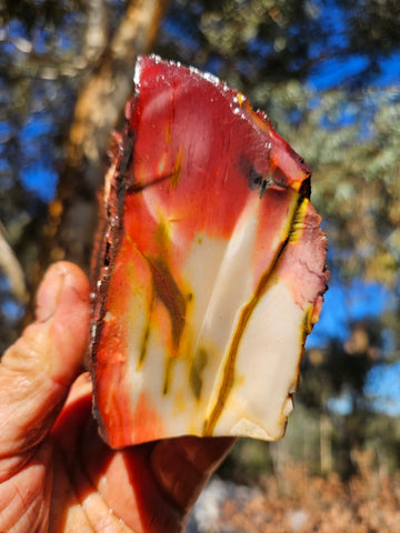Mookaite rough.  MKR 285