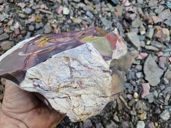 Mookaite rough.  MKR 286