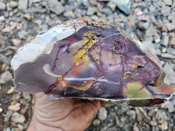Mookaite rough.  MKR 286