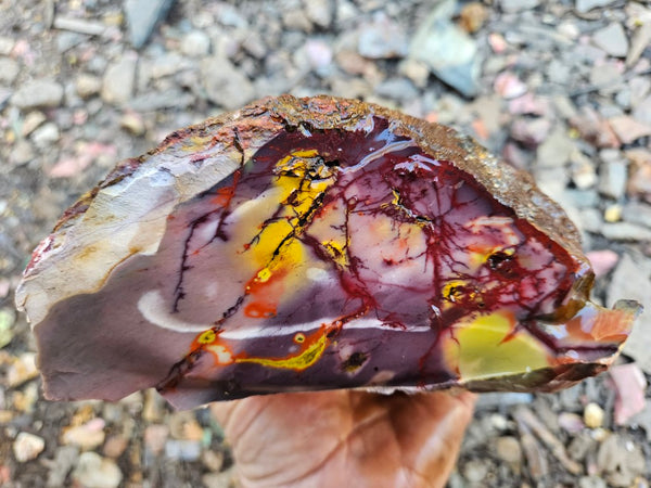 Mookaite rough.  MKR 286