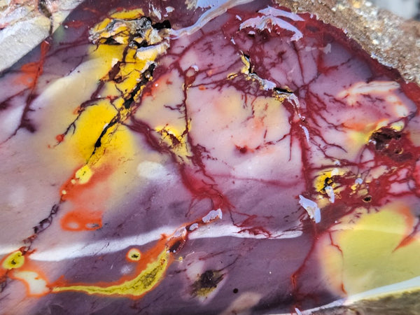 Mookaite rough.  MKR 286
