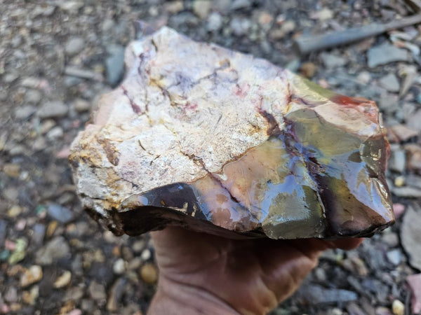 Mookaite rough.  MKR 286