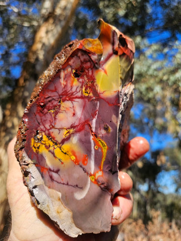 Mookaite rough.  MKR 286