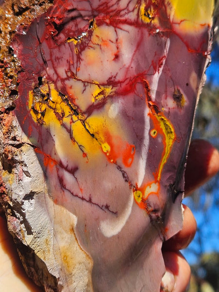 Mookaite rough.  MKR 286