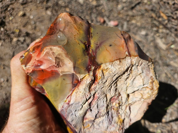 Mookaite rough.  MKR 286