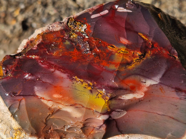 Mookaite rough.  MKR 286