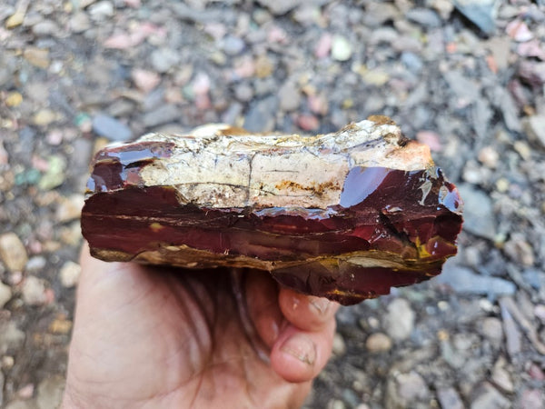 Mookaite rough.  MKR 287