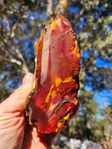 Mookaite rough.  MKR 287