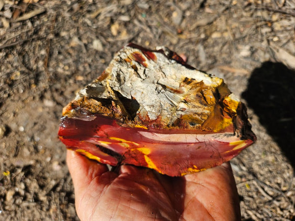 Mookaite rough.  MKR 287