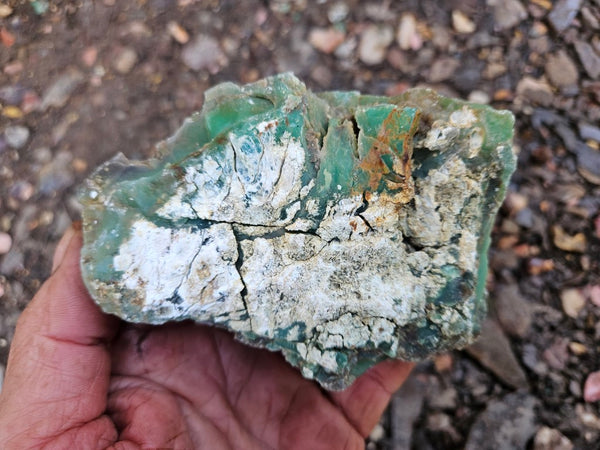 Chrysoprase rough.  CHR 207