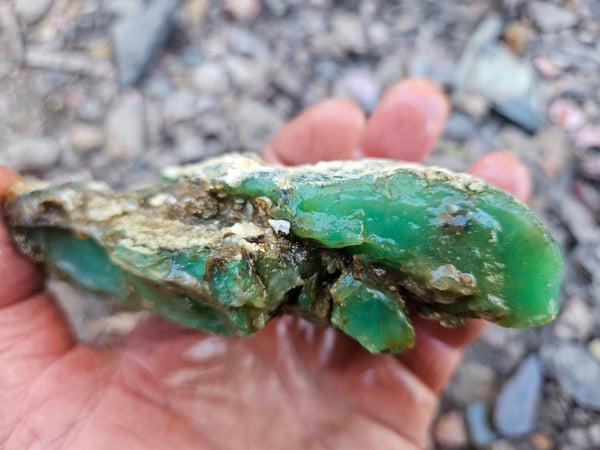 Chrysoprase rough.  CHR 207