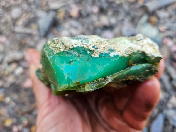 Chrysoprase rough.  CHR 207