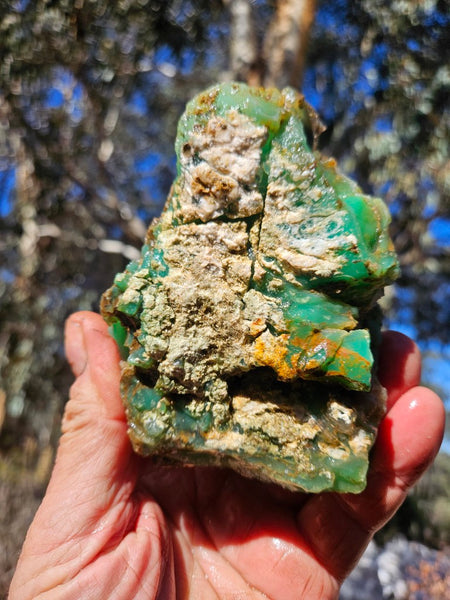 Chrysoprase rough.  CHR 207