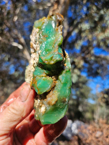 Chrysoprase rough.  CHR 207