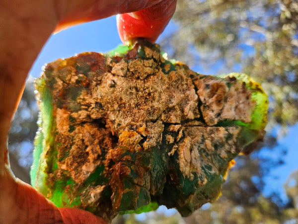 Chrysoprase rough.  CHR 207