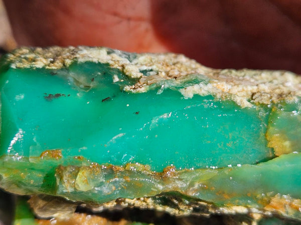 Chrysoprase rough.  CHR 207