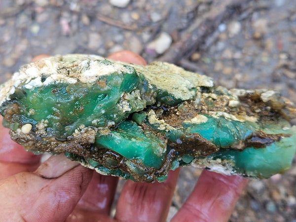 Chrysoprase rough.  CHR 207