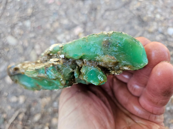 Chrysoprase rough.  CHR 207