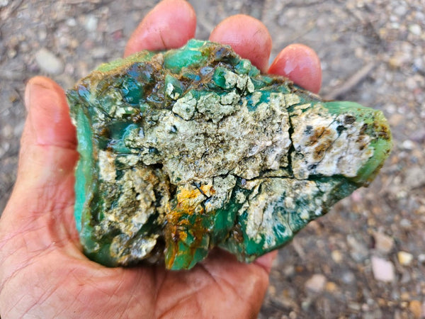 Chrysoprase rough.  CHR 207