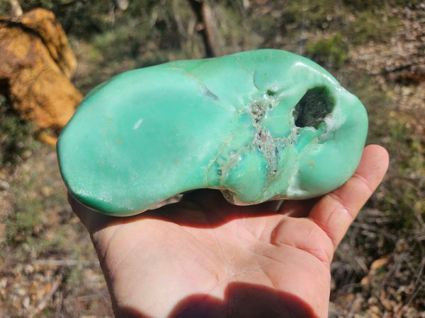 Tumble Polished Chrysoprase CHT165