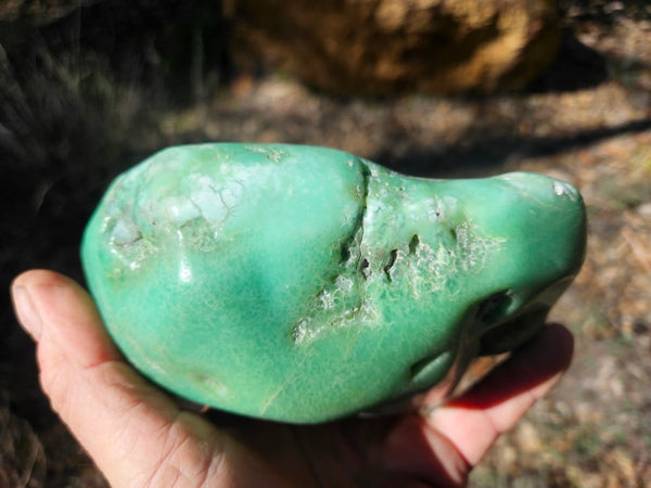 Tumble Polished Chrysoprase CHT165