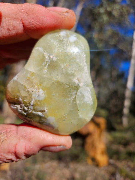 Tumble Polished Prehnite PRT117