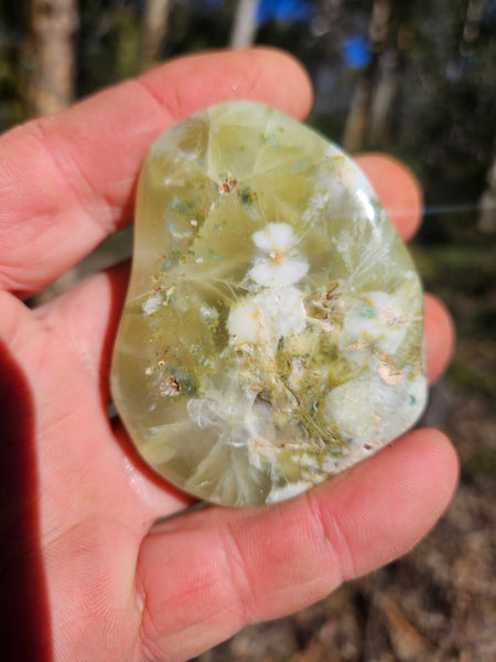 Tumble Polished Prehnite PRT117