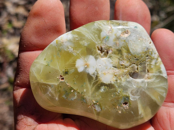 Tumble Polished Prehnite PRT117