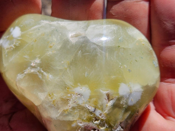 Tumble Polished Prehnite PRT117
