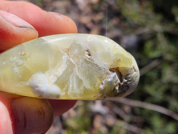 Tumble Polished Prehnite PRT117