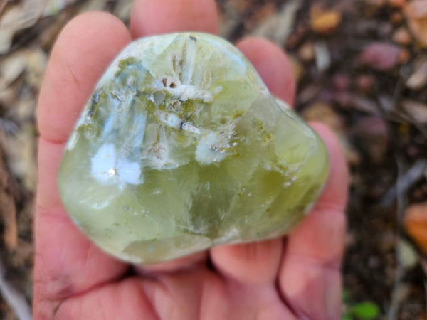 Tumble Polished Prehnite PRT117