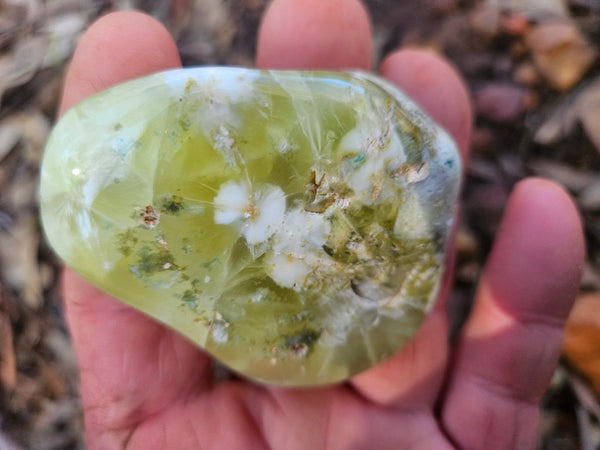 Tumble Polished Prehnite PRT117