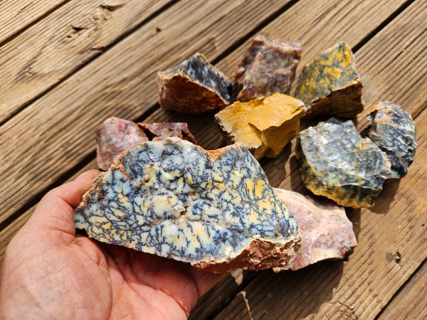 Dendritic Opal  rough.  DOR271