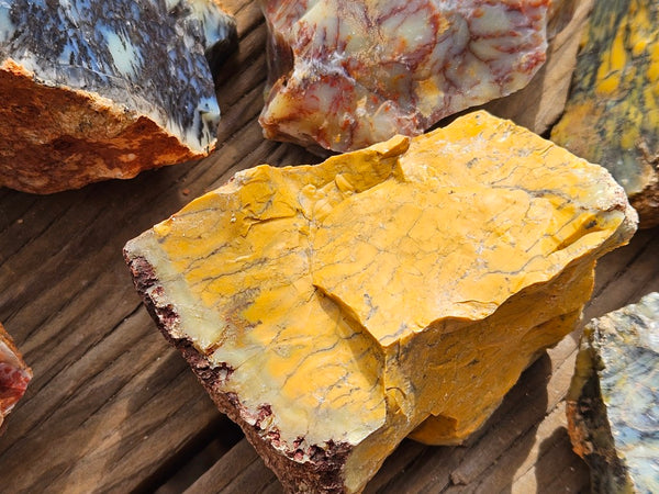 Dendritic Opal  rough.  DOR271