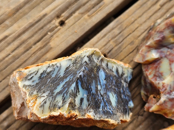 Dendritic Opal  rough.  DOR271