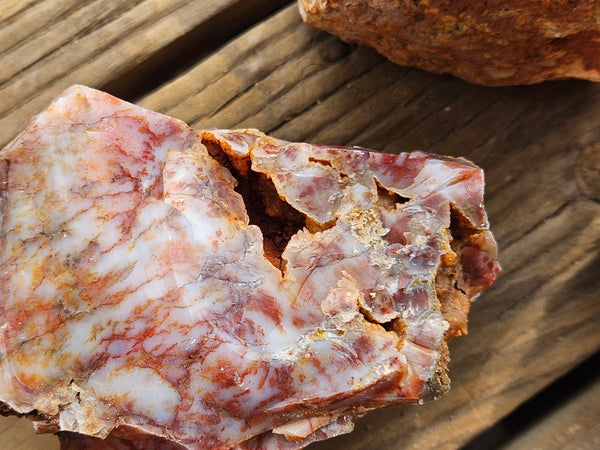 Dendritic Opal  rough.  DOR271