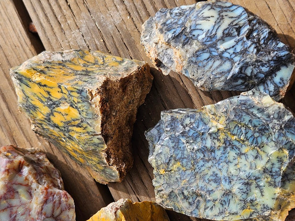 Dendritic Opal  rough.  DOR271