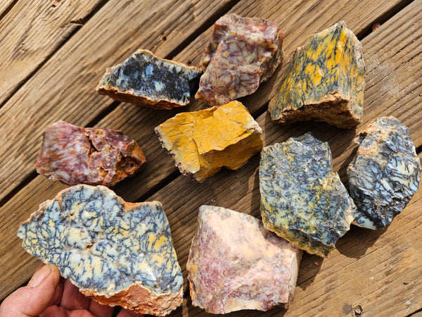 Dendritic Opal  rough.  DOR271
